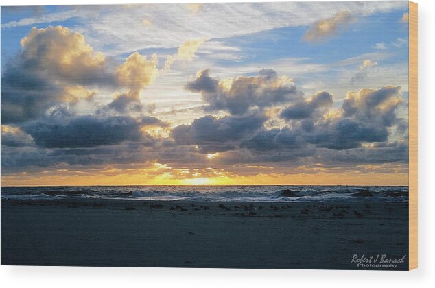 Animals Wood Print featuring the photograph Seagulls on the Beach at Sunrise by Robert Banach