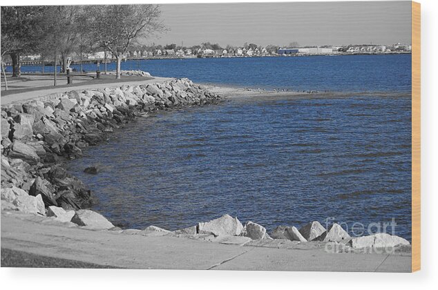 Seaside Park Wood Print featuring the photograph Seaside Blue by Cj Mainor