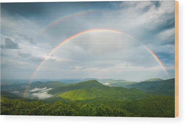 Asheville Wood Print featuring the photograph Seeing Double by Joye Ardyn Durham