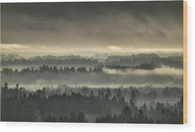 Fog Wood Print featuring the photograph Shrouded Valley by Don Schwartz