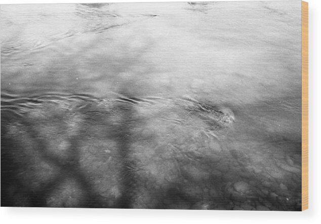 Water Wood Print featuring the photograph Sideline Reflections by Teri Schuster