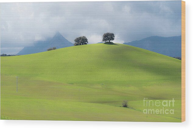 Sierra Wood Print featuring the photograph Sierra Ronda, Andalucia Spain 3 by Perry Rodriguez