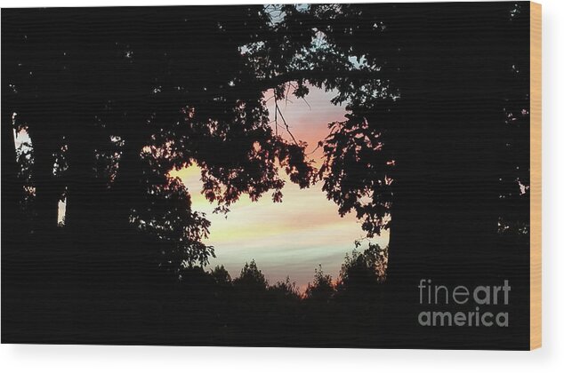 Silhouette Wood Print featuring the photograph Fall Silhouette Sunset by Donna Brown