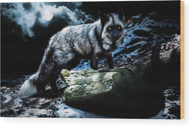 Canada Wood Print featuring the photograph Silver Fox in Moonlight. by Tracy Munson