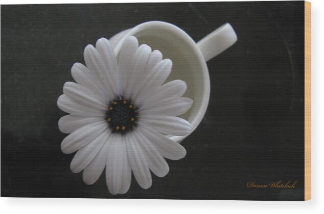 White Daisy Wood Print featuring the photograph Simple White Daisy by Doreen Whitelock