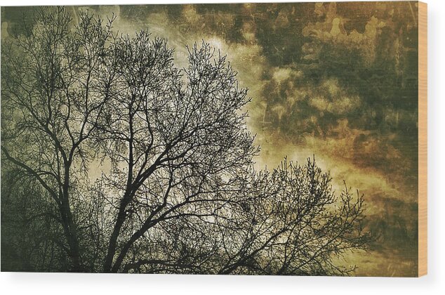 Photography Wood Print featuring the photograph Skyward by Al Harden