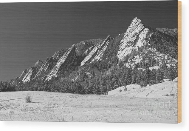 Flatirons Wood Print featuring the photograph Snow Dusted Flatirons Boulder CO Panorama BW by James BO Insogna