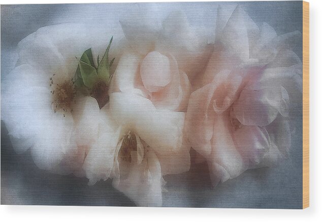 Roses Wood Print featuring the photograph Soft Pink Roses by Louise Kumpf