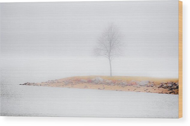 Tree Wood Print featuring the photograph Solitude by Allin Sorenson