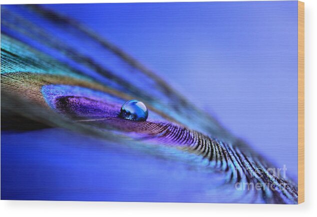 Peacock Feather Wood Print featuring the photograph Soul Of Blue by Krissy Katsimbras