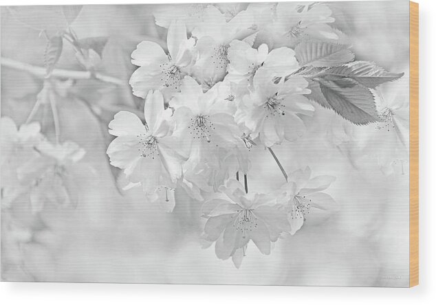 Cherry Tree Blossom Wood Print featuring the photograph Spring Flower Blossoms Soft Gray by Jennie Marie Schell