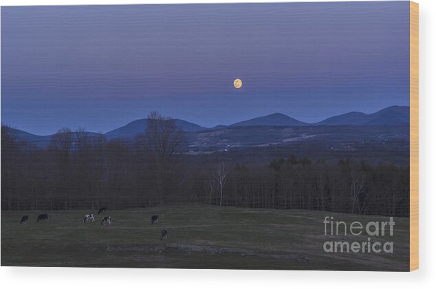 Vermont Wood Print featuring the photograph Spring full moon by Scenic Vermont Photography