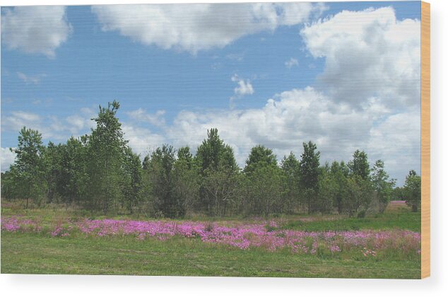 Landscape Wood Print featuring the photograph Spring phlox by Peggy Urban