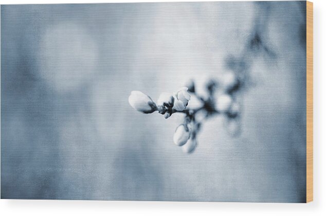 Flower Wood Print featuring the photograph Spring Smells by Jaroslav Buna