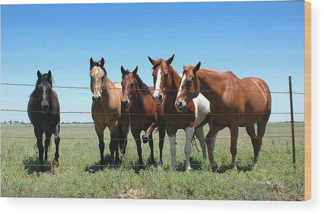 Horses Wood Print featuring the photograph Stompin' Flies by Karen Slagle