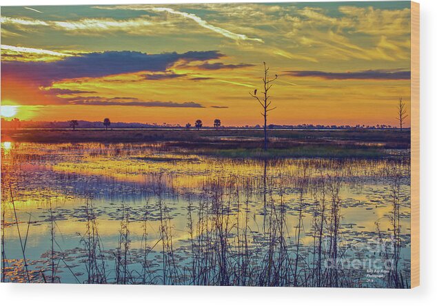 Bird Wood Print featuring the photograph Sunrise at a Wildlife Paradise by DB Hayes
