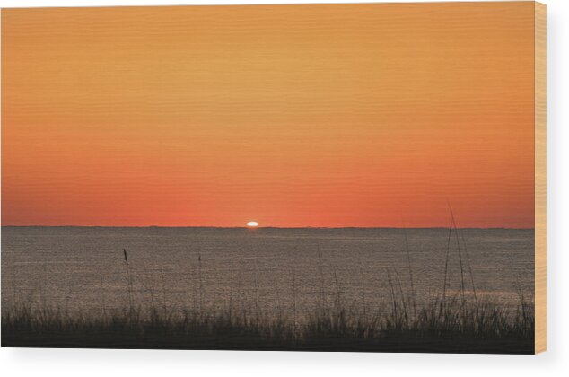 Florida Wood Print featuring the photograph Sunrise Delivered Delray Beach Florida by Lawrence S Richardson Jr