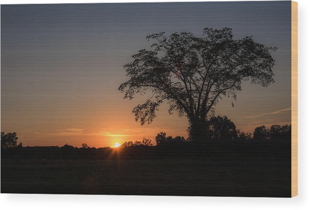 Nature Wood Print featuring the photograph Sunset   by Holden The Moment