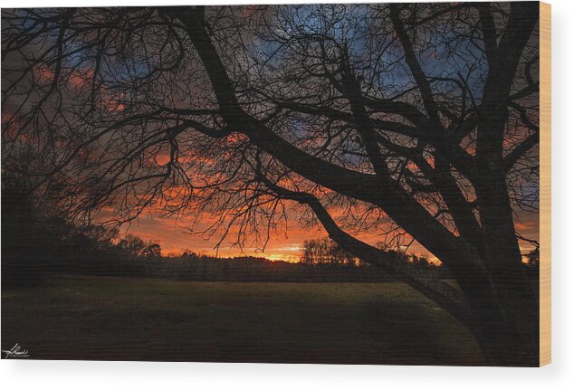 Tree Wood Print featuring the photograph Sunset at Elderville by Phil And Karen Rispin