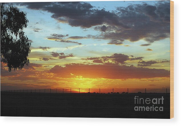 Australian Bush Sunset Wood Print featuring the photograph Sunset at Little River Victoria by Lexa Harpell