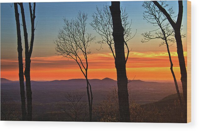 Sunset Wood Print featuring the photograph Sunset Hues by George Taylor