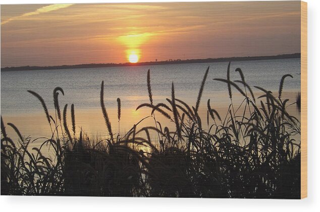 Yellow Wood Print featuring the photograph Sunset Over The Sound by Joyce Wasser