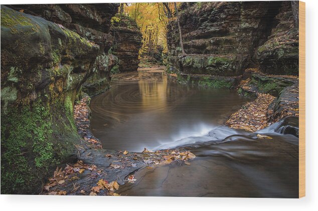 Devils Lake Wood Print featuring the photograph Swirling by Josh Eral