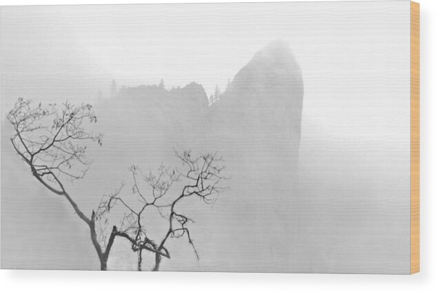 Taft Point Wood Print featuring the photograph Taft Point in Mist by Josephine Buschman