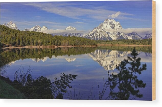 Grand Teton National Park Wood Print featuring the photograph Teton Reflections by Jack Bell
