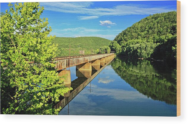 Train Tracks Wood Print featuring the photograph The James River Trestle Bridge, Va by The James Roney Collection