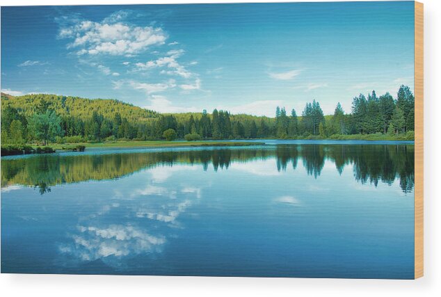 Mill Wood Print featuring the photograph The Mill Pond by Mick Burkey