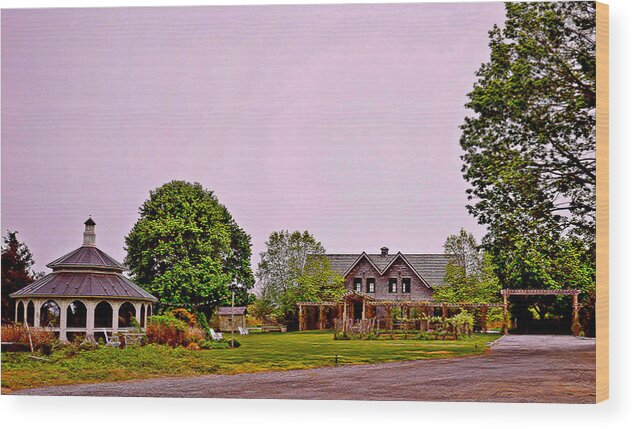 Gazebo Wood Print featuring the photograph The Summer Resort by Stacie Siemsen