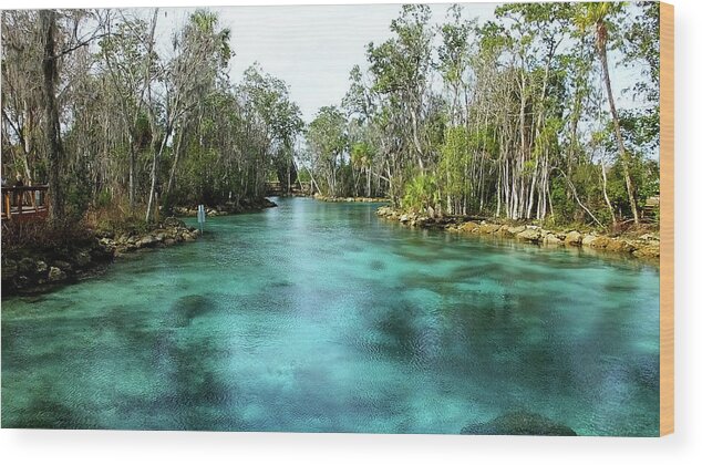 Three Sisters Springs Wood Print featuring the photograph Three Sisters Springs Long View by Judy Wanamaker