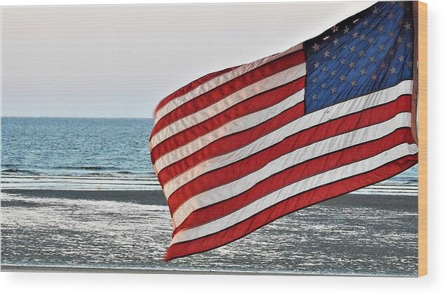 United States Of America Wood Print featuring the photograph To Shining Sea by Jan Gelders