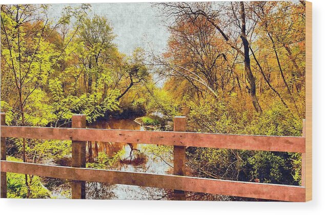 Nature Wood Print featuring the photograph Autumn Creek by Stacie Siemsen