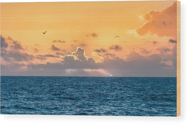 Beach Wood Print featuring the photograph Treasure Coast Imaginations by Craig Szymanski