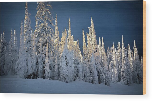Montana Wood Print featuring the photograph Trees by Thomas Nay