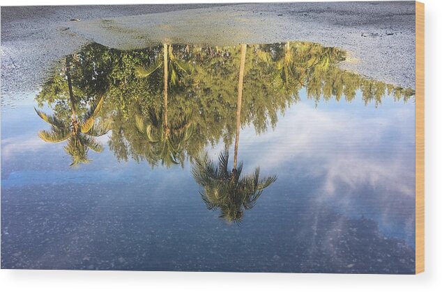 Florida Wood Print featuring the photograph Tropical Reflections Delray Beach Florida by Lawrence S Richardson Jr