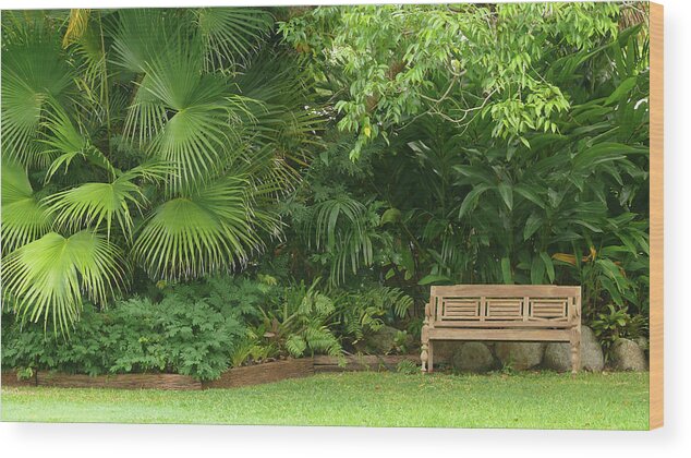 Tropical Seat Wood Print featuring the photograph Tropical Seat by Evelyn Tambour