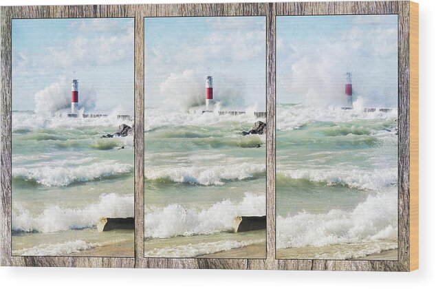 Lake Michigan Wood Print featuring the photograph Up Up and Away by Kathi Mirto
