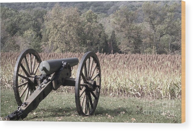 Gettysburg Wood Print featuring the photograph Valley Of Death by Richard Rizzo