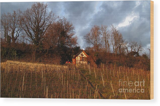 Vineyard House Wood Print featuring the photograph Vineyard House by Susanne Van Hulst