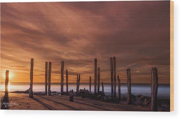 Port Wood Print featuring the photograph W I L L U N G A by Andrew Dickman