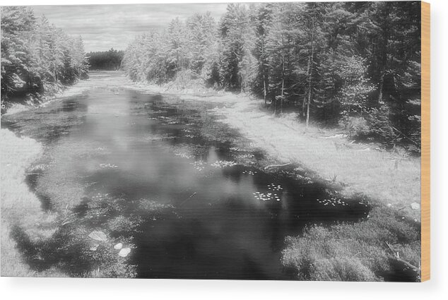 Black And White Wood Print featuring the digital art Water And Forest In Spring BW by Lyle Crump