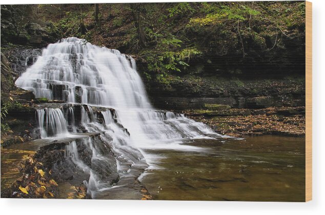 Waterfalls Wood Print featuring the photograph Waterfall Cascade Salt Springs State Park by Christina Rollo
