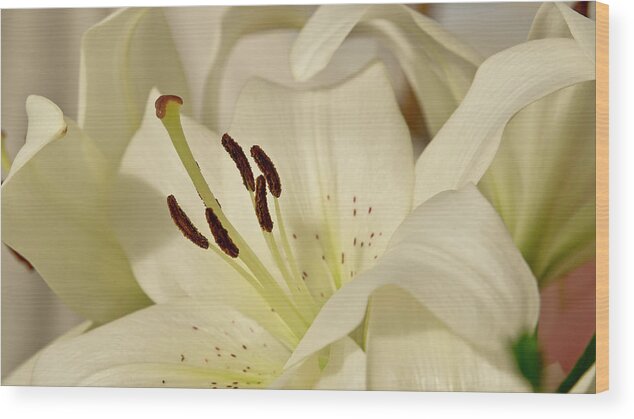 Lily Wood Print featuring the photograph White Lily 3 by Elena Perelman