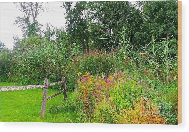 Wildflowers Wood Print featuring the photograph Wildflowers and Fence in Bridgewater by Dani McEvoy