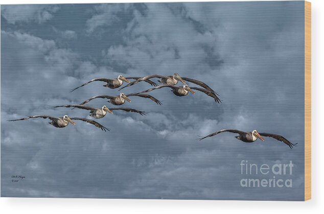 Birds Wood Print featuring the photograph Wings In Formation by DB Hayes