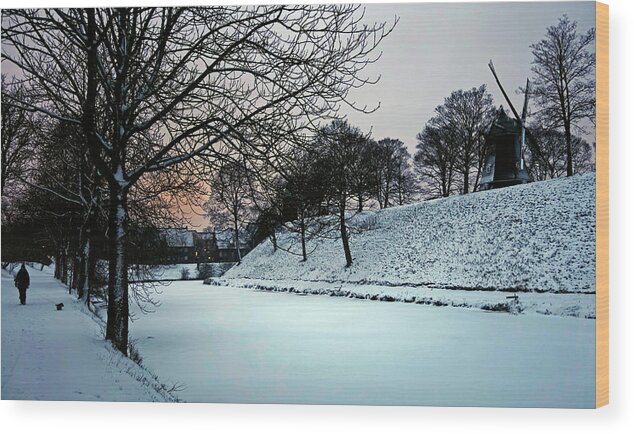 Winter Wood Print featuring the photograph Winter Glow - 365-286 by Inge Riis McDonald