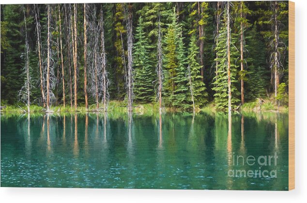 Canada Wood Print featuring the photograph Woodland Reflections by Lori Dobbs
